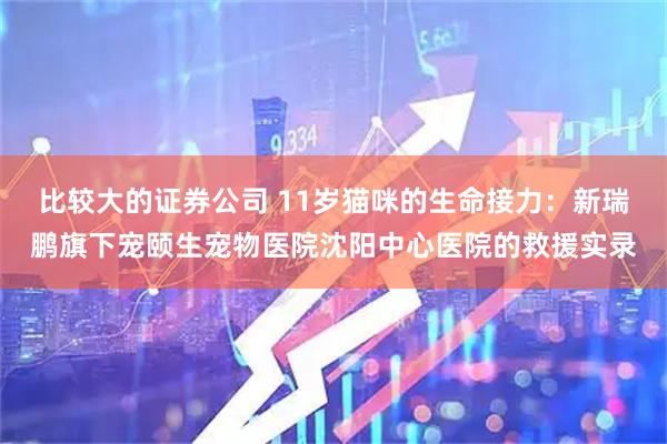 比较大的证券公司 11岁猫咪的生命接力：新瑞鹏旗下宠颐生宠物医院沈阳中心医院的救援实录